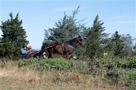 LR-WRF 10182025 Retreat-6385